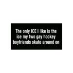 The only ICE I like is the ice my two gay hockey boyfriends skate around on bumper sticker.