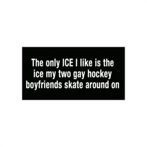 The only ICE I like is the ice my two gay hockey boyfriends skate around on bumper sticker.