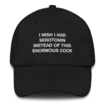 I Wish I Had Serotonin Instead of This Enormous Cock Hat.