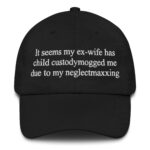 It Seems My Ex-Wife Has Child Custodymogged Me Due To My Neglectmaxxing Hat.